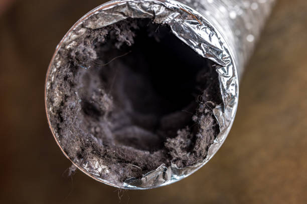 Best Air Duct Cleaning Near Me  in North Logan, UT
